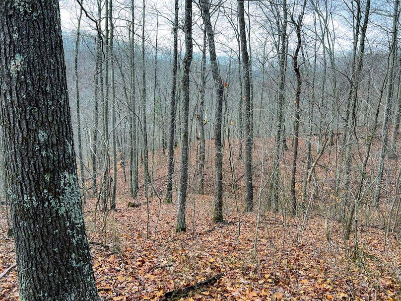 Calhoun, WV 225.69 AC Duffield-69