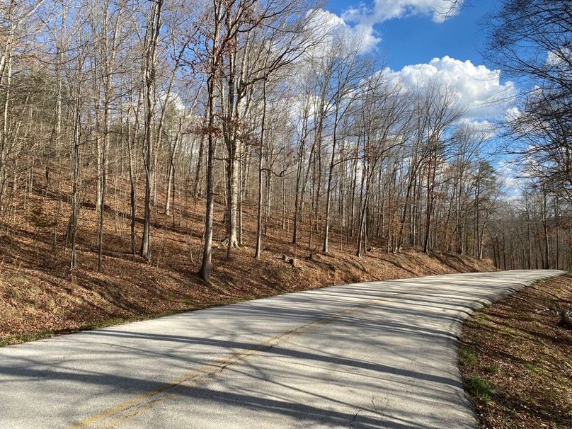 010 view of the road from the northwest corner looking south along KY 2016 in front of the property