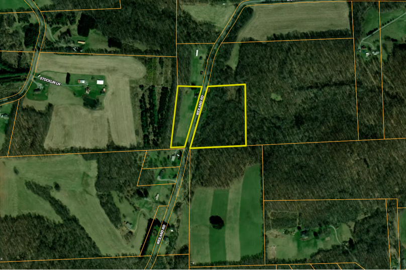 Screenshot 2026-02-02 095658