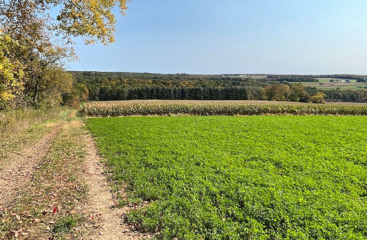 Yates_29_Stape Photo 1