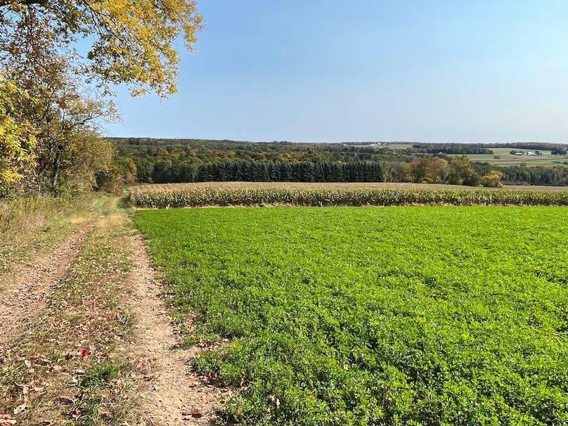 Yates_29_Stape Photo 1