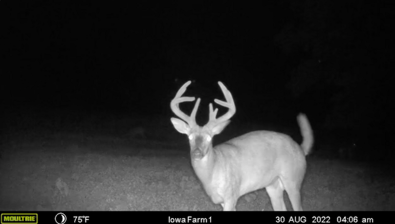 Screen Shot 2024-02-05 at 3.23.10 PM