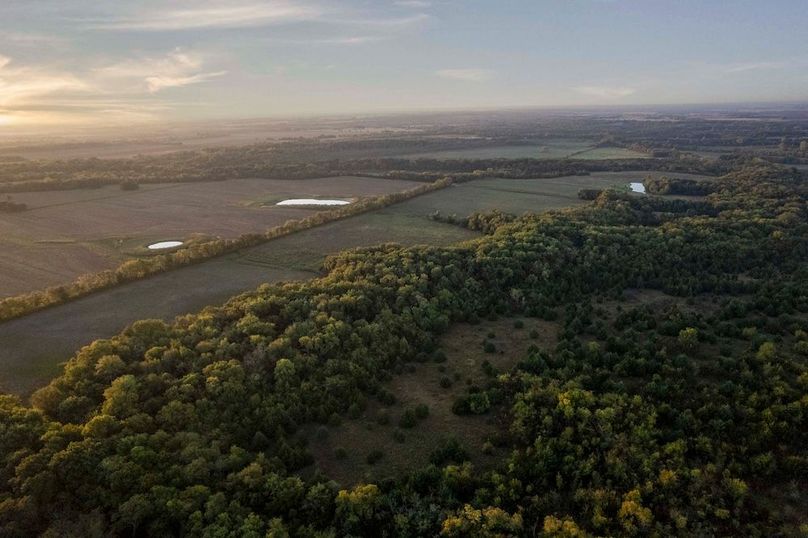 Lamar County- 93 acre reshoot (17 of 38)