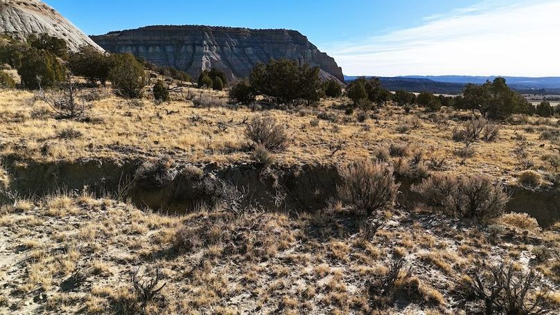 DJI_20241219101734_0058_D