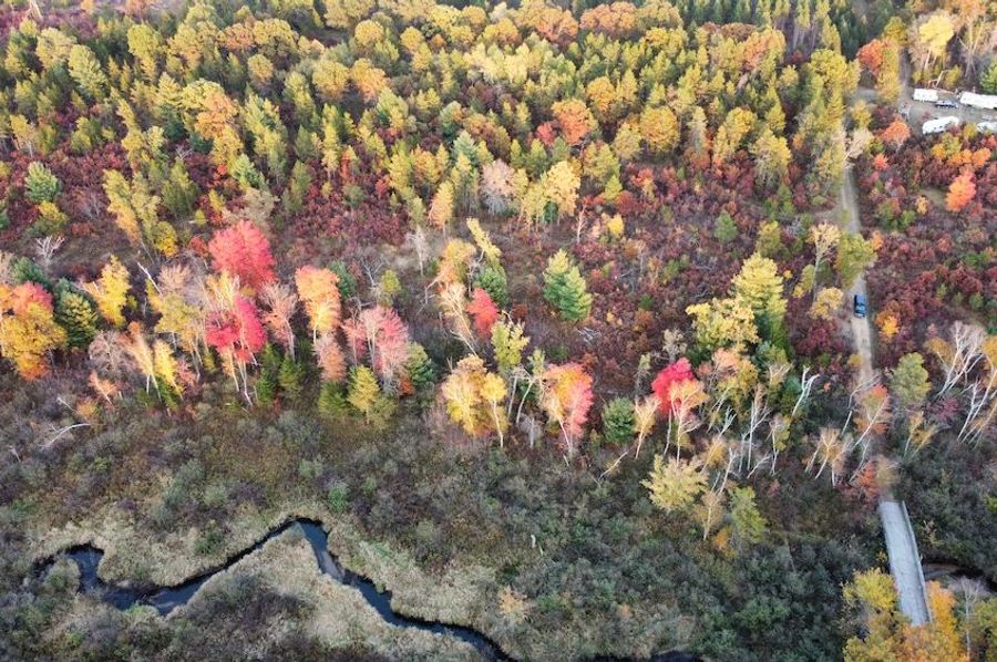 dji_fly_20241011_174606_437_1728687471005_photo_optimized 2
