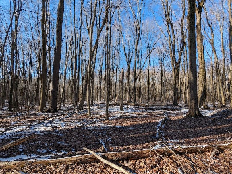 PXL_20240229_211947899