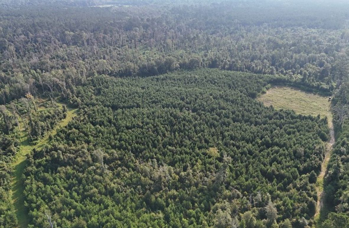 dji_fly_20250903_215752_0010_1756926964441_photo