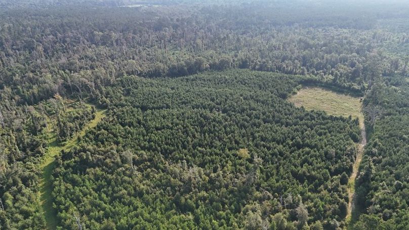 dji_fly_20250903_215752_0010_1756926964441_photo