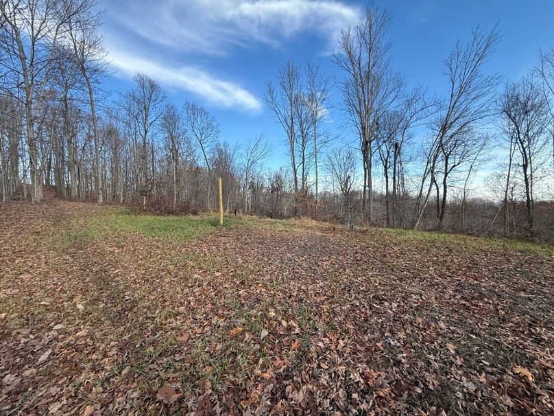 012 small food plot along the north ridge