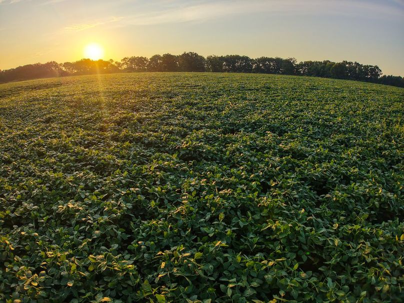 DJI_20250823071151_0928_D