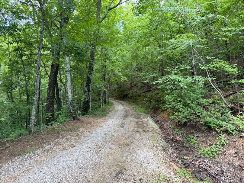 011 gravel drive along near the east boundary