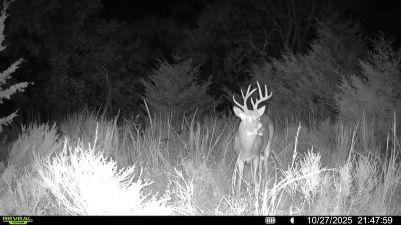 016578004545254-100-4-10272025214759-SYFW12955