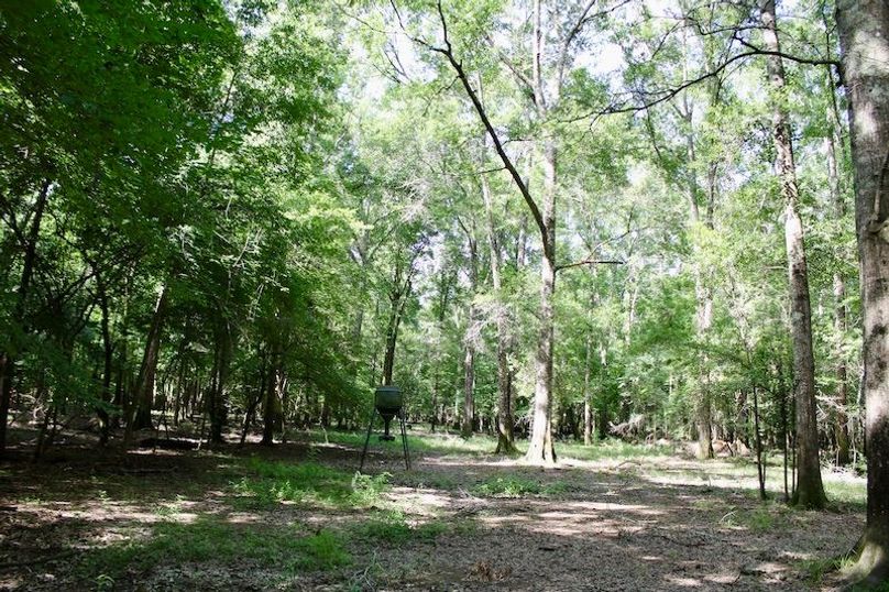 0018C0EF-82BD-4B4C-8CC3-BDC689BE7A1A_1_201_a