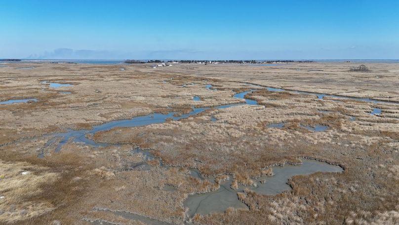 dji_fly_20250303_125352_0026_1741039480822_photo