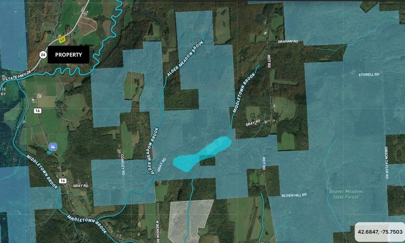 Chenango 1.34 VonHassel Wide Area