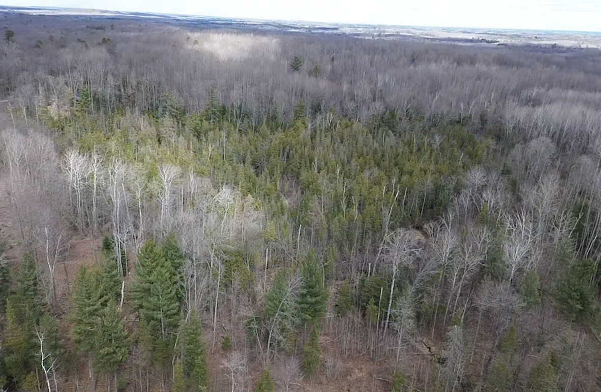 2025-04-07-15-49-25-115