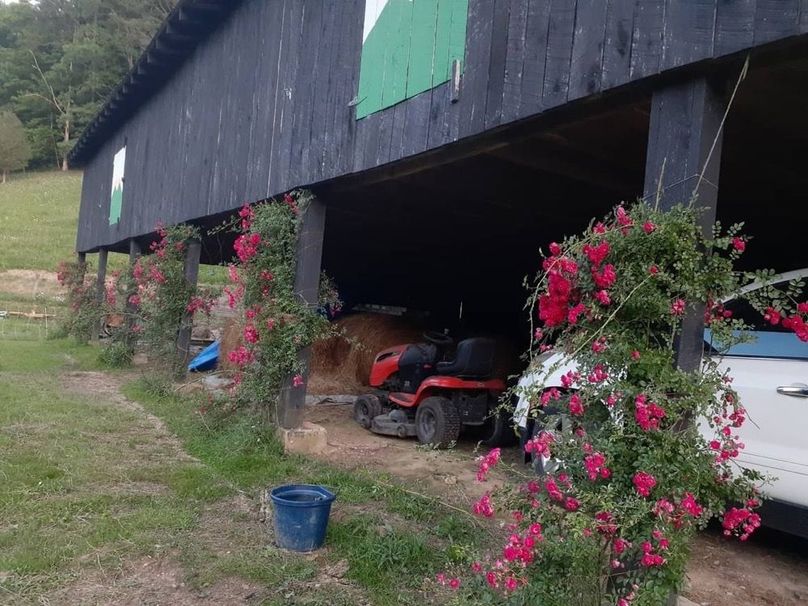 054 looks like a scratch and sniff_