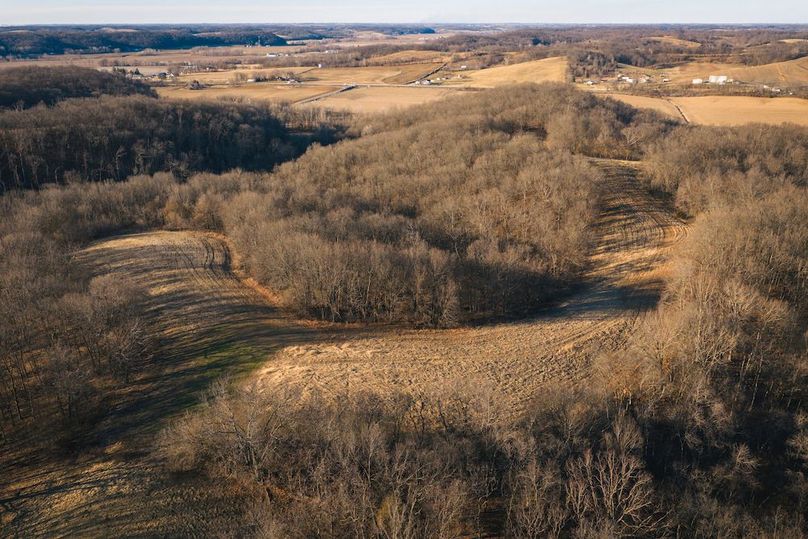 DJI_20260218162040_0636_D