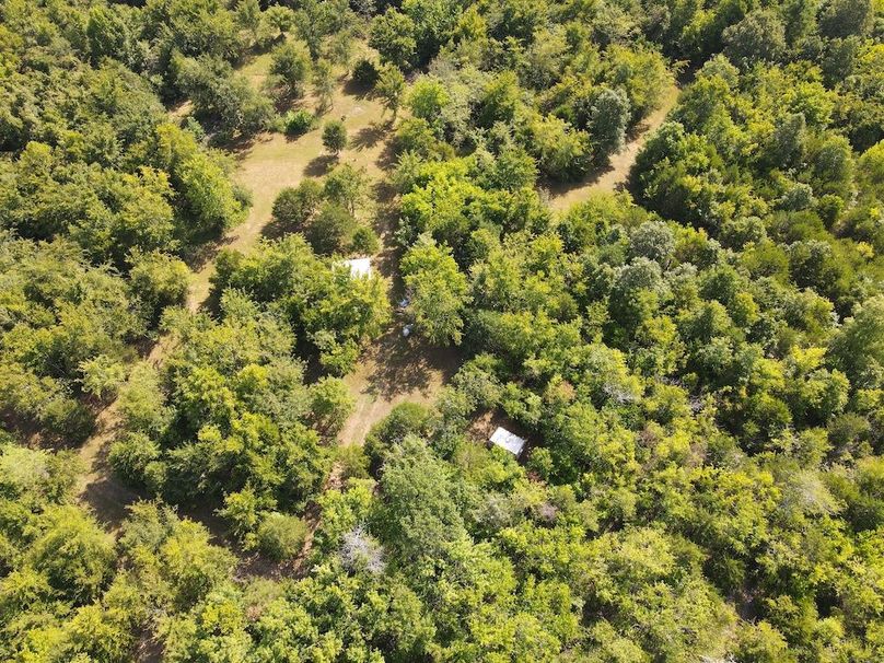 dji_fly_20240808_095526_308_1723128937546_photo