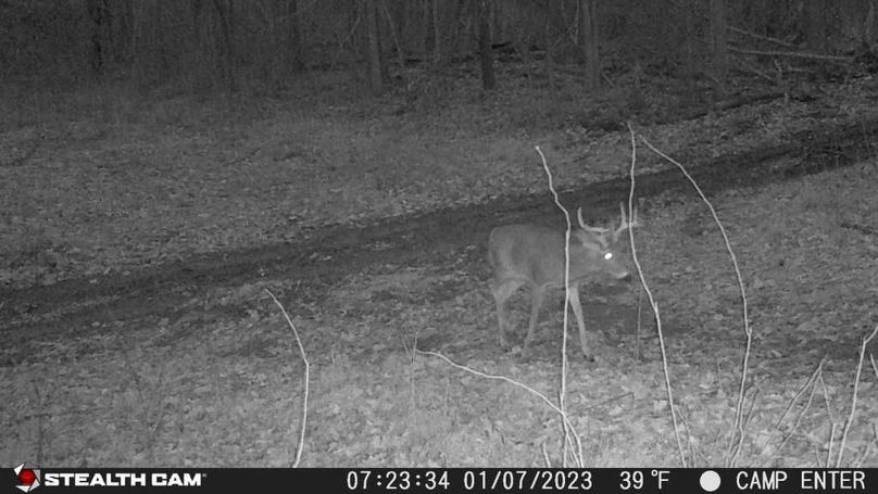 23010707233401000902