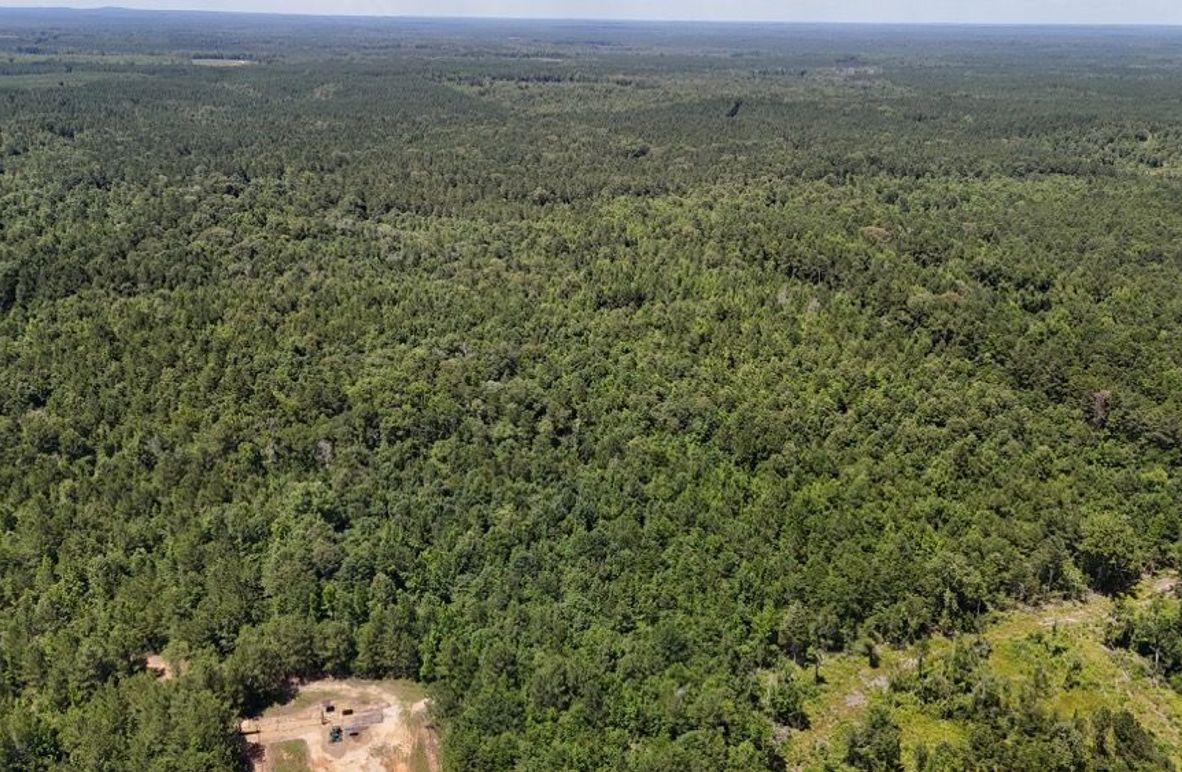 DJI_20250624035557_0647_D