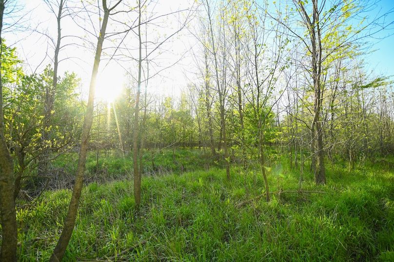 vandalia 450 (2)-3008