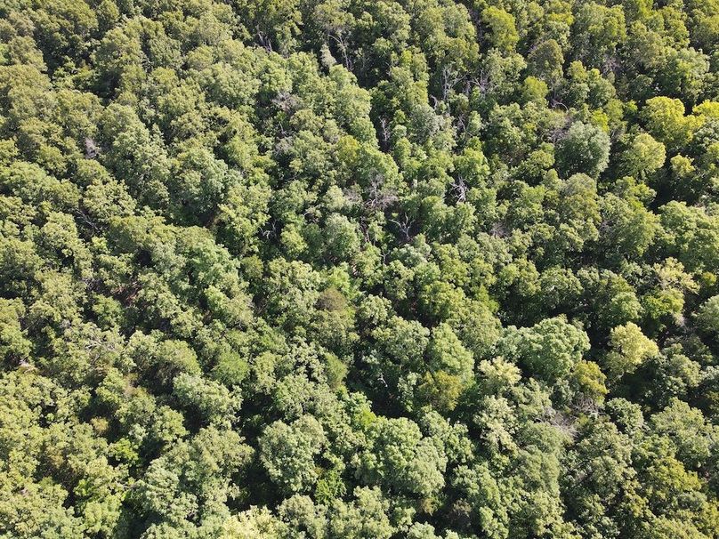 dji_fly_20260514_092914_783_1778769085109_photo