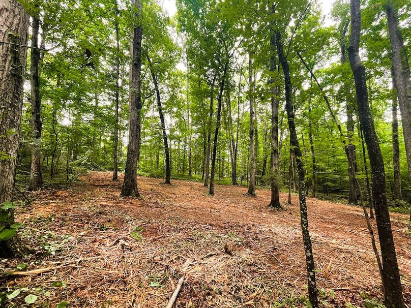 592A4C3B-BE61-4D40-8063-E7B9493239F8