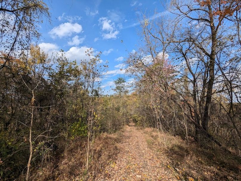 PXL_20251101_181843412