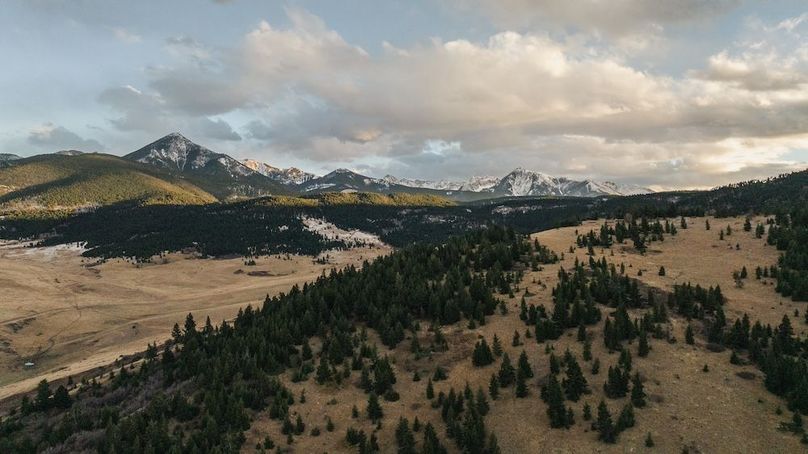 241114-DJI_0638