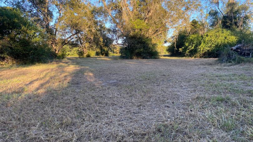 Pic 1
