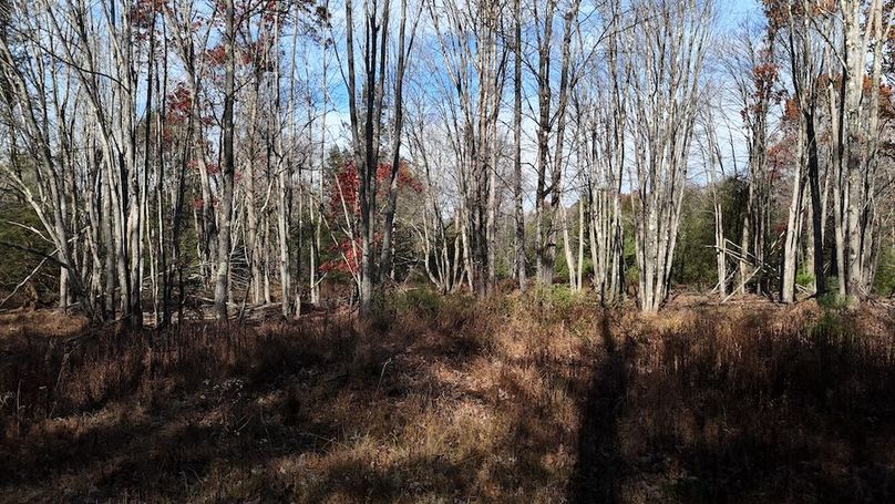 DJI_20251105104948_0024_D