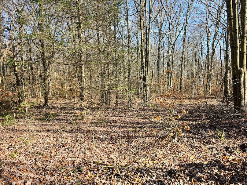 photo_478c0f9f-76ea-460f-8efd-fb70a7aa7e9f