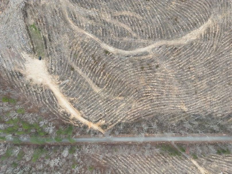 DJI_20260303124006_0021_V