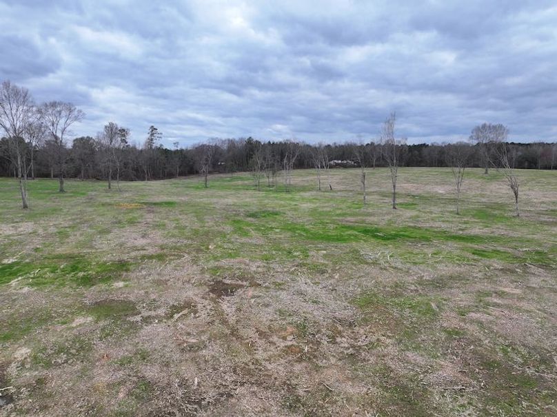 Copy of dji_fly_20260217_142842_0134_1771436910547_photo