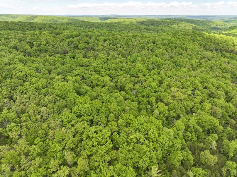 DJI_20250506125009_0238_D