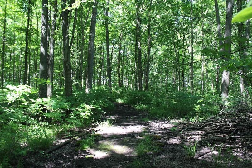 trail 20