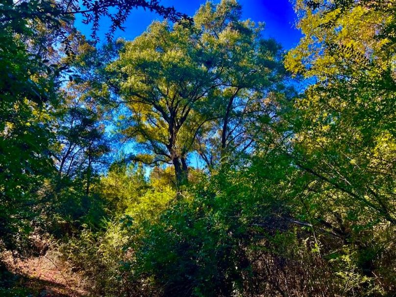 BB6371A8-2876-42BB-A175-C2AF92C9F899_1_105_c