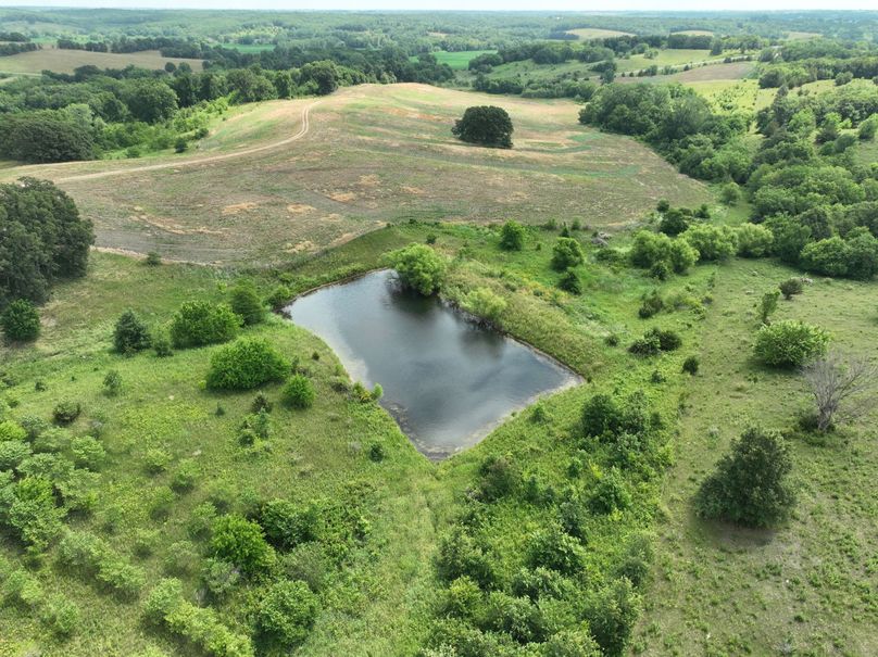 dji_fly_20230625_115810_465_1687717428293_photo