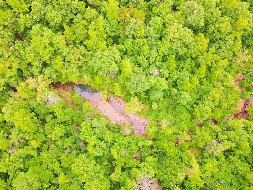 DJI_0347
