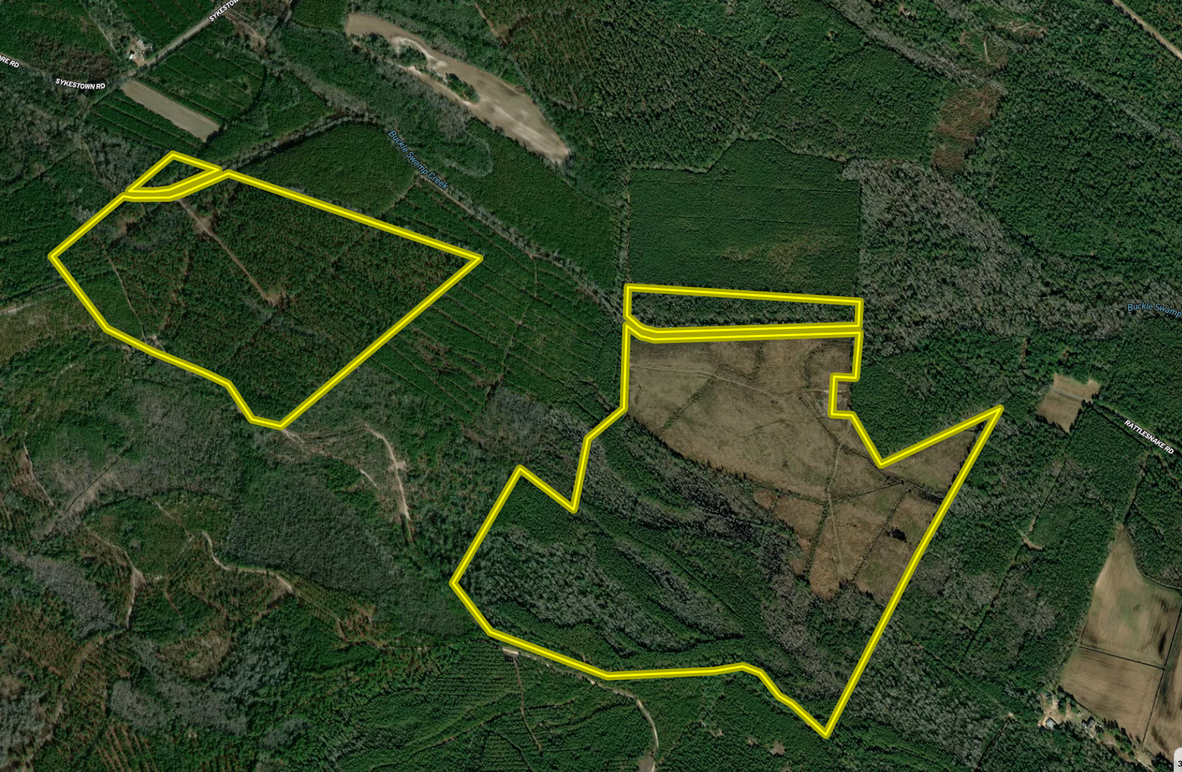 Screen Shot 2024-01-17 at 10.02.48 AM