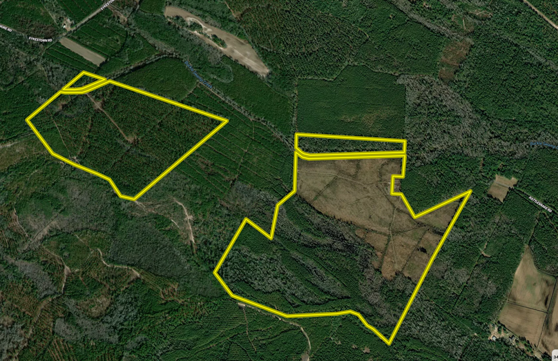 Screen Shot 2024-01-17 at 10.02.48 AM