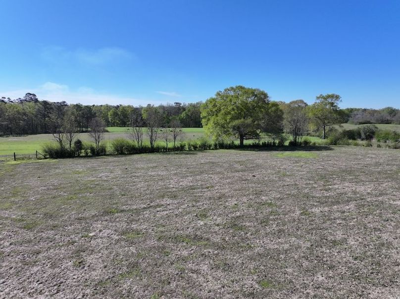 dji_fly_20260317_085142_0380_1773768885500_photo