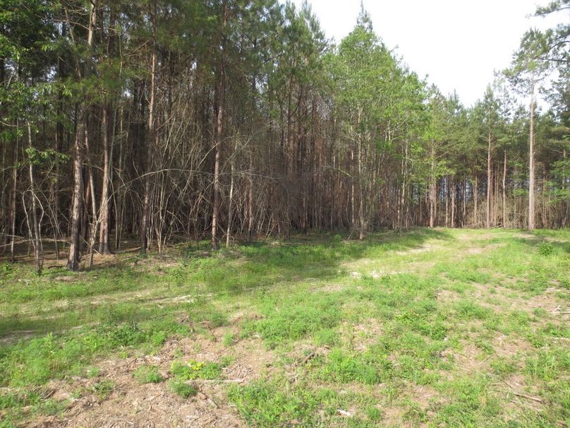 D761096E-EF89-4325-AB55-375169C89D51_1_105_c