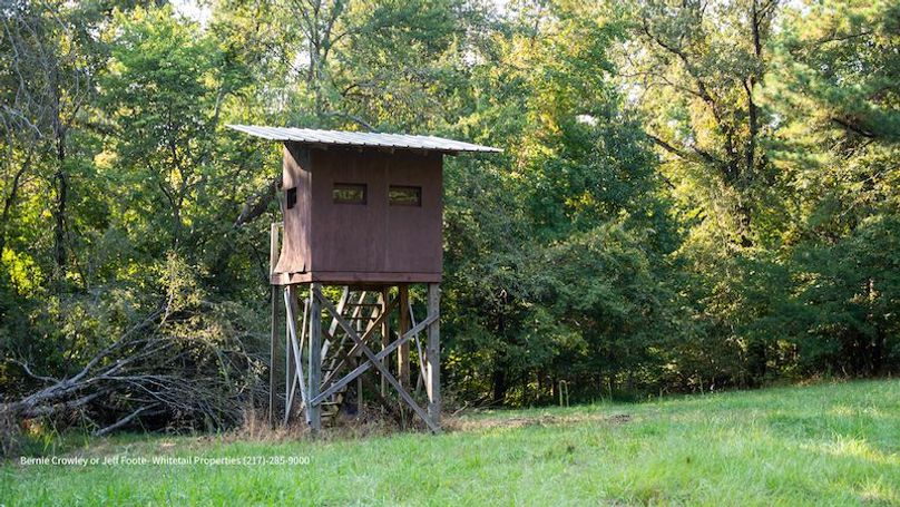 Tallahatchie 847 Messina-24