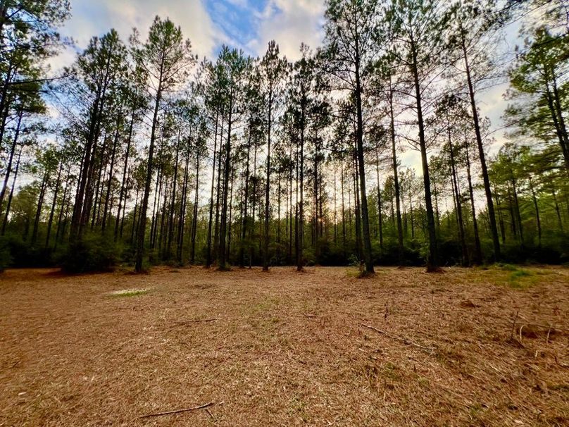 FCB09079-B259-4074-A43B-EC5AFBB5F278_1_201_a