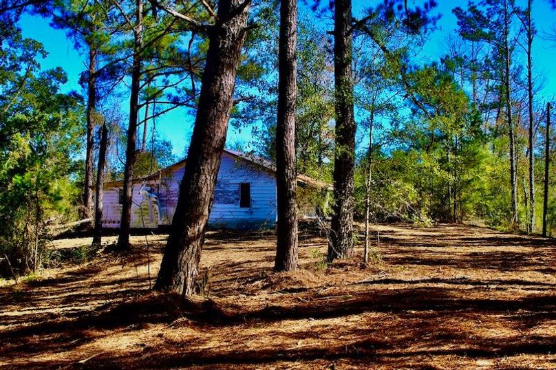 85E099D0-6BC1-4FD4-90F7-BEB65946247F_1_105_c