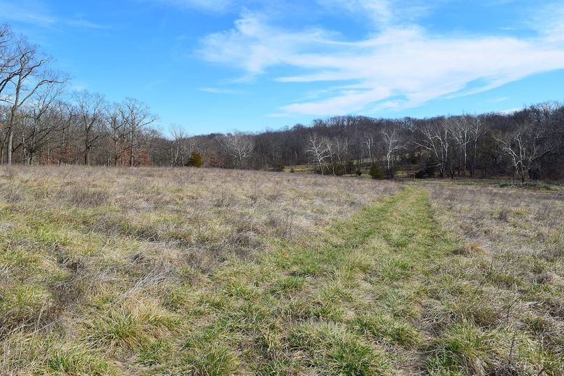 DSC_0295_inPixio (2)