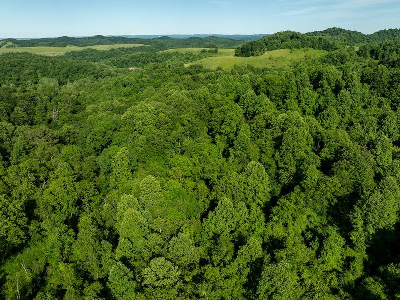 DJI_20260531174111_0158_D-Edit