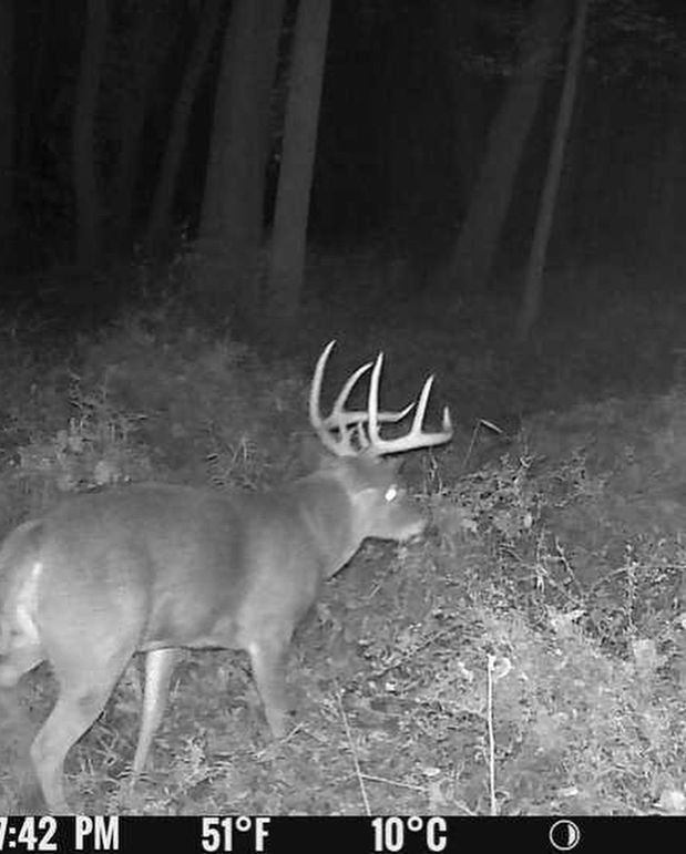 2F70231F-4583-415F-A5E1-C51850CC99F2